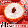 田良季 广东增城桂味荔枝茂名水果品物盒 5斤普箱装 S+级甄选果 单果14-16g