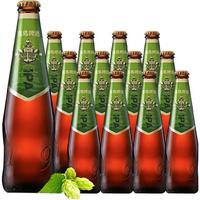 TSINGTAO 青岛啤酒 IPA 330ml*12瓶