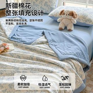 新疆棉花被子被芯夏凉被薄款空调被夏被夏季可机洗宿舍单双人全