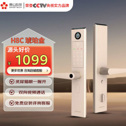 鼎山科技 DINSTECH H8C 智能门锁 琥珀金