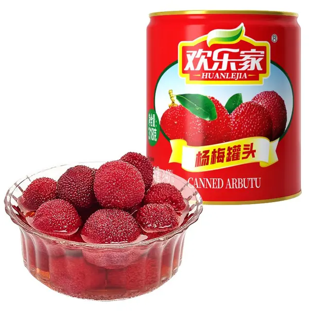 HUANLEJIA 欢乐家 杨梅罐头 318g*6罐