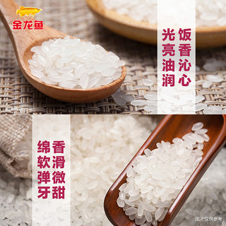 金龙鱼 东北虎林长粒香米 20kg(5kg*4袋) 大米
