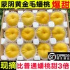 言象 顺丰 山东蒙阴 王母蟠桃 黄毛蟠桃 2.5斤装（6-8个）