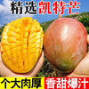 果当爱 正宗攀枝花凯特芒 5斤【精品手挑果400g起净4.5斤】