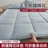 洁丽雅 新疆棉花床垫家用专用卧室不塌学生宿舍榻榻米床褥垫被租房铺垫子