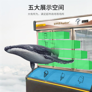 Royalstar荣事达荣事达商用便利柜饮料柜冷柜冷藏展示柜冷冻柜双温立式保鲜柜冰柜超市子母柜 LCD-639单门便利店柜