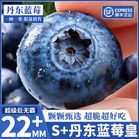 优圣园 丹东蓝莓 金标级巨无霸 20+mm 6盒锁鲜装 125g+/盒