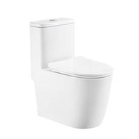 东鹏(DONGPENG) 马桶家用坐便器虹吸式节水隔臭低噪大冲力抽水连体座便器 【小户型福音】305坑距-W6431A