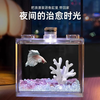 悠梵萌 斗鱼缸积木缸透明隔离盒观赏鱼桌面造景PET裸缸透明1个装