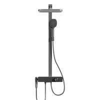 京东京造 JDJZLT2111 小天鹅淋浴花洒套装 枪灰色