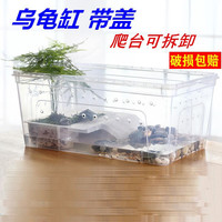 涵瑶伊笑 塑料小乌龟缸带晒台饲养箱带盖家用养龟缸饲养盒塑料龟箱饲养盆 小号白透乌龟方盒（裸缸）