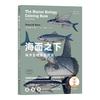 《海面之下：海洋生物形态图鉴》