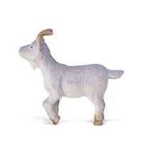 Wenno 鸵鸟 动物模型