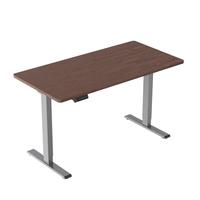 Loctek 乐歌 电动升降桌电脑桌双电机站立办公 ES2/1.4m实木黑胡桃木色套装