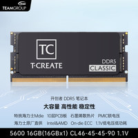 十铨 开创者 DDR5 5600MHz 笔记本内存 马甲条 黑色 16GB