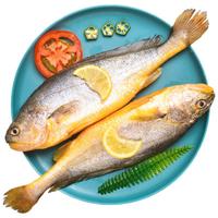 鲜京采冰鲜黄鱼500g*2条(净重1kg) 宁德大黄鱼  生鲜鱼类 地标源头直发