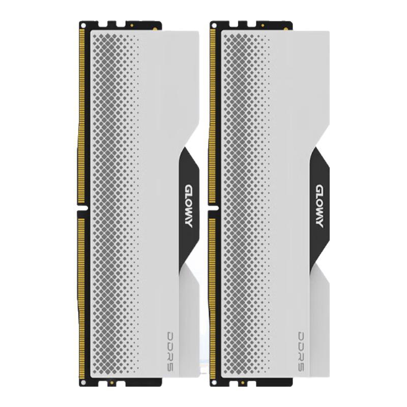 GLOWAY 光威龙武系列DDR5 6400MHz 台式机内存马甲条白色96GB 48GBx2