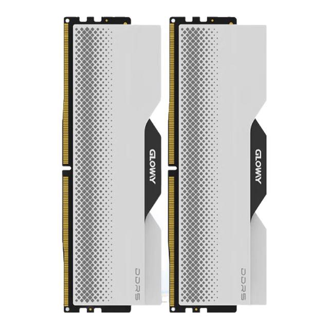 GLOWAY 光威龙武系列DDR5 6400MHz 台式机内存马甲条白色96GB 48GBx2