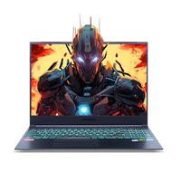 MECHREVO 机械革命 极光16 十三代酷睿版 16英寸 游戏本 灰色（酷睿i7-13620H、RTX 4060 8G、16GB、1TB SSD、2.5K、IPS、165Hz）