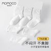 MOMOCO女童袜子春夏薄款儿童透气无骨四季网眼袜宝宝白色花边中筒