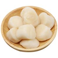 冷冻帆立贝柱 1000g 盒装 瑶柱元贝带子肉扇贝 煎制食材