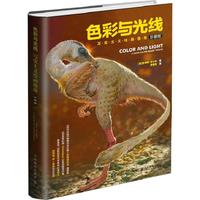 《色彩与光线:写实主义绘画指南》(珍藏版)