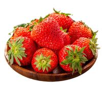 京觅丹东99红颜奶油草莓水果生鲜3斤装 单果30-35g 源头直发