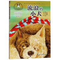《舌尖上的中国》