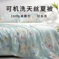堂皇家纺 TEVEL 60支兰精天丝夏被空调被可水洗可机洗被芯夏凉被