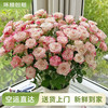  云南鲜花批发 玫瑰百合水养鲜切花 1朵
