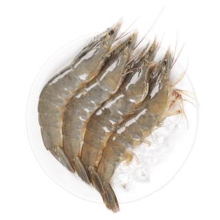 沃鲜汇虾 厄瓜多尔白虾   虾水冻虾 净重
