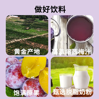 深海四十噚西梅多多乳酸菌风味饮品益生菌酸奶膳食纤维酸奶风味饮品 2箱220ml*20瓶