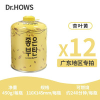 Dr.HOWS 韩国户外便携式高原气罐 高山气450*12瓶