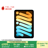 苹果 Apple iPad mini7 2024款 平板电脑（A17 Pro、512GB、5G版、蓝色）