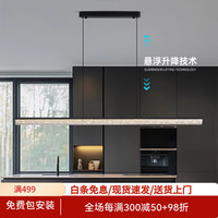 AOPLE 意式极简餐厅吊灯 8908 54W 120cm 电镀黑