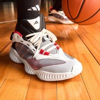 adidas 阿迪达斯 Pro Ventilate Low团队款实战篮球运动鞋男子