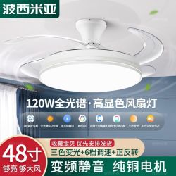 波西米亚 隐形风扇灯家用客厅餐厅卧室北欧吸顶吊扇灯智能变频吊灯