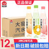 大窑 果汽碳酸饮料 450ml*12瓶 凤梨蜜桃荔枝味