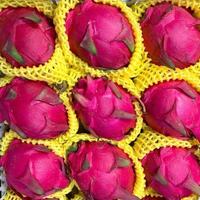 产地直发红心火龙果新鲜现摘超甜红肉金都一号应季水果