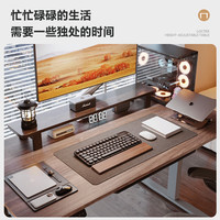 乐歌 E2 升降电脑桌 灰胡桃木色+银灰 1.4m 直形款