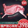 西牛优选 XI NIU YOU XUAN 带皮半只羊10斤羊肉新鲜现杀羊排羊腿块生羊肉红烧食材