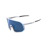 迪卡侬 DECATHLON PERF900 骑行眼镜 8939084 可换片眼镜