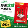 十月稻田 SHI YUE DAO TIAN 长粒香大米 20斤 1袋