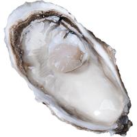鲜海道（XIANHAIDAO）【活鲜】生蚝 鲜活乳山牡蛎贝类  源头直发 5XL-净重5斤 