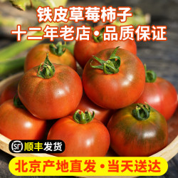 密农人家 MINONG 密农人家 国产自然熟绿腚西红柿 3斤