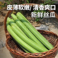 密农人家 国产新鲜绿皮丝瓜 500g