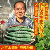 密农人家 国产长黄瓜 500g 脆玉长黄瓜 500g