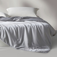 兰叙LENCIER五星级酒店床品混纺天丝夏被可水洗薄夏季凉被冰丝抗菌被 【抗菌/凉感/丝滑】 cm【4斤】