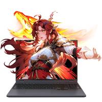 MECHREVO 机械革命 蛟龙16 Pro 2025款 锐龙8000 16英寸 游戏本 灰色（R9-8945HX、RTX 5060、16GB、1TB、2560*1600、300Hz）