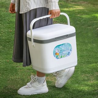 柏潮加厚保温箱商用摆摊车载户外保鲜钓鱼保冷手提野营冷藏箱家用冰桶 5升【送冰袋5个+冰板1个】绿色